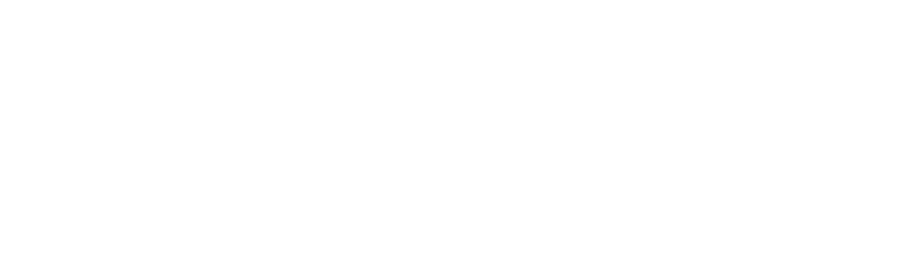 Templar Screens logo